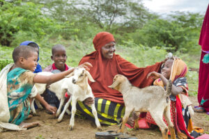 Halima et ses chèvres